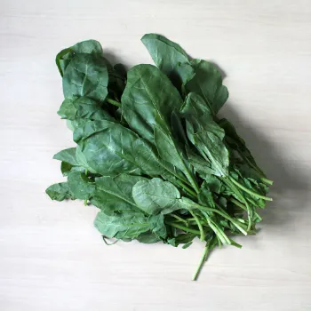 Spinach (32)-1622492-85031.webp
